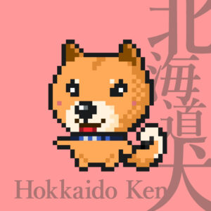 北海道犬の赤毛