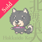 北海道犬の黒褐色