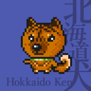 北海道犬の赤虎
