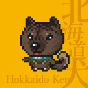 北海道犬の黒虎