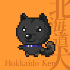 北海道犬の黒