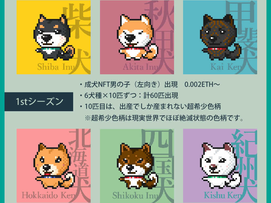 日本犬ロードマップシーズン1